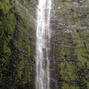 Meet your Posher, Sophia